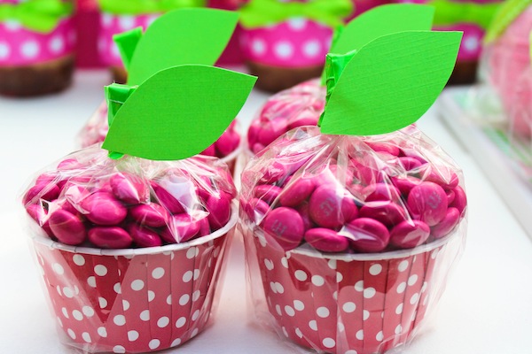 Apple of my eye themed birthday party via Karas Party Ideas karaspartyideas.com girl party idea apple pink birthday 22