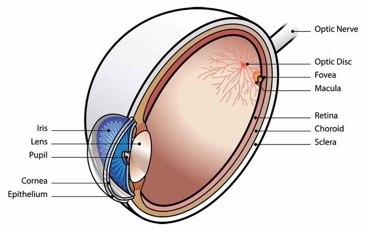 vision problem zern liew 0