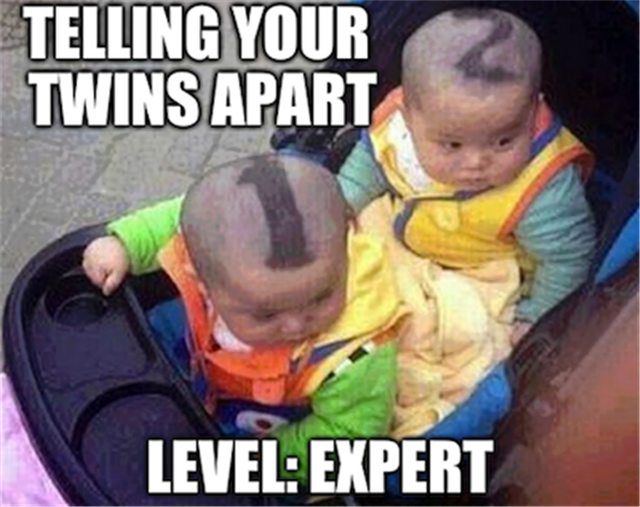 Telling your twins apart