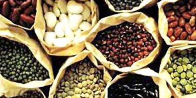 Άριστη πηγή φυτικών ινών τα όσπρια