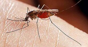 Αεροψεκασμοί για τα κουνούπια στη Θεσσαλονίκη