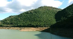 Εναλλακτικό φεστιβάλ λίμνης Λάδωνα στην ορεινή Αρκαδία
