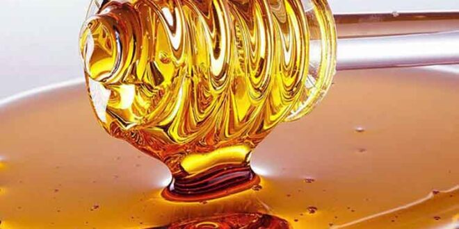 Το μέλι έχει σημαντικό ρόλο στην πρόληψη και καταπολέμηση της παχυσαρκίας.