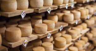 Τυρί... εργαστηρίου θέλουν να φτιάξουν βιοχάκερς στην Καλιφόρνια