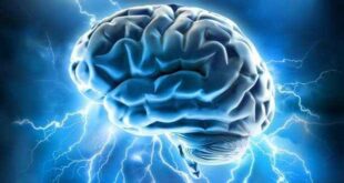 Επιστήμονες κατάφεραν να αλλάξουν τις κακές αναμνήσεις