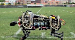 Ερευνητές του MIT «απελευθέρωσαν» ρομποτικό τσιτάχ