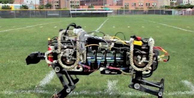 Ερευνητές του MIT «απελευθέρωσαν» ρομποτικό τσιτάχ