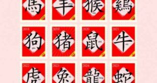 Κινέζικη Αστρολογία: Προβλέψεις Νοεμβρίου