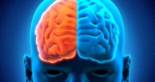 Εγκέφαλος: Κάντε το τεστ και μάθετε ποιο ημισφαίριο είναι το κυρίαρχο