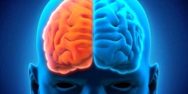 Εγκέφαλος: Κάντε το τεστ και μάθετε ποιο ημισφαίριο είναι το κυρίαρχο