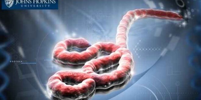 Έμπολα: Νέα τεχνολογία οπτικοποιεί τις πρωτεΐνες του ιού για να εντοπιστεί γρηγορότερα η θεραπεία