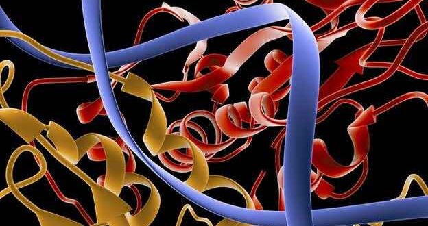 Επιστήμονες έφτιαξαν συνθετικά ένζυμα