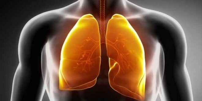 Η Χρόνια Αποφρακτική Πνευμονοπάθεια (ΧΑΠ) οφείλεται κατά 80-90% στο κάπνισμα. Είναι η τέταρτη αιτία θανάτου παγκοσμίως