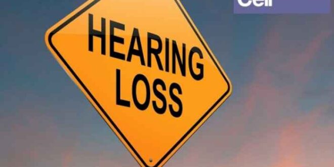Η απώλεια της ακοής μπορεί να περιοριστεί με ένα απλό συμπλήρωμα βιταμινών