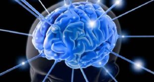 Οι μορφωμένοι με προβλήματα μνήμης κινδυνεύουν με εγκεφαλικό