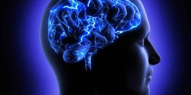 Τα τμήματα του εγκεφάλου γερνούν με διαφορετικούς ρυθμούς