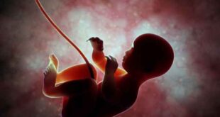 Εγκυμοσύνη 7 απίθανα πράγματα που κάνει το μωρό μέσα σας