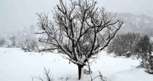 Νέα επέλαση του χιονιά – Θα χιονίσει στο κέντρο της Αθήνας