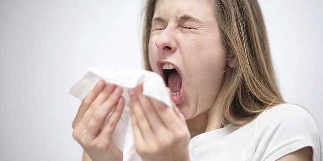 Ο ιός του κοινού κρυολογήματος προτιμά τις κρύες μύτες