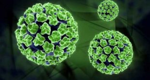 HIV: Νέο, πολλά υποσχόμενο εμβόλιο ενάντια στον επικίνδυνο ιό