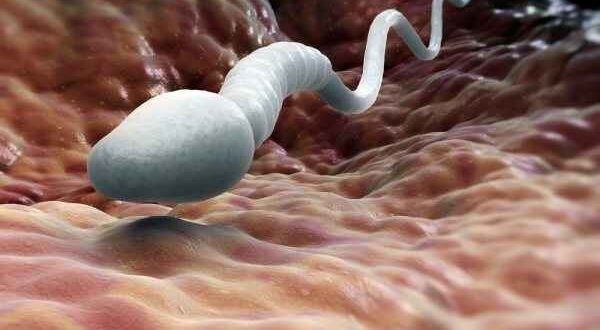 Δέκα πράγματα που σκοτώνουν το σπέρμα