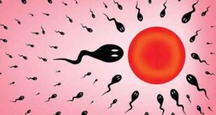 Οι αλλαγές στα ωάρια και το σπέρμα σε κάθε δεκαετία