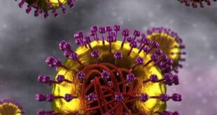 Προσοχή: Ποιος είναι ο πιο μεταδοτικός ιός