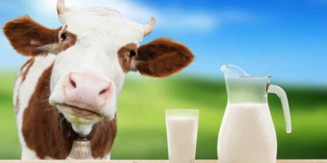 Τι πρέπει να προσέχετε όταν αγοράζετε γάλα