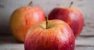 Ένα μήλο την ημέρα το γιατρό τον κάνει πέρα; Οι επιστήμονες εξέτασαν αν αληθεύει η παροιμία!