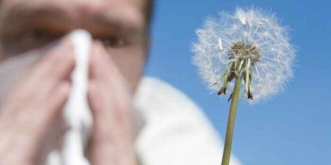 Ανοιξιάτικες αλλεργίες: Η περιβαλλοντική ρύπανση επιδεινώνει τα συμπτώματα