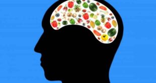 Οι 5 κορυφαίες «εγκεφαλικές» τροφές