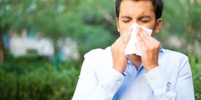 Ποιες αλλεργίες έφτασαν: Πώς θα τις διακρίνετε για να τις αντιμετωπίσετε