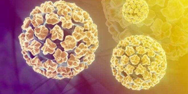 Πώς μεταδίδεται ο ιός HPV