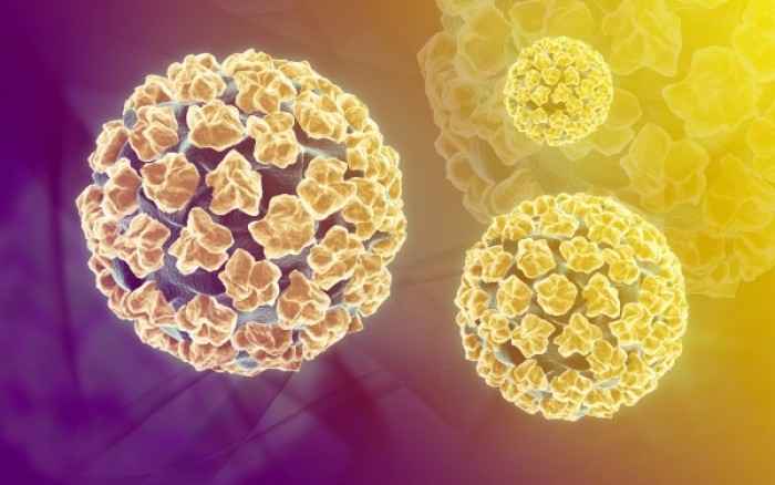 Πώς μεταδίδεται ο ιός HPV
