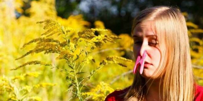 Αλλεργίες: 4 μύθοι που πρέπει να καταρρίψετε