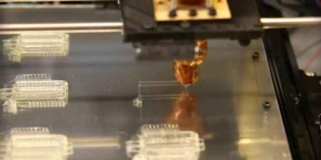 Δημιουργούν τεχνητά αιμοφόρα αγγεία με 3D εκτυπωτές και... ζάχαρη!