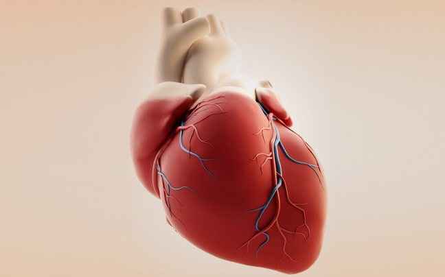 Θεαματική αναγέννηση κυττάρων καρδιάς
