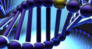 Αναζητούν γονίδια ένοχα για νευροεκφυλιστικές παθήσεις
