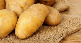 Γιατί δεν πρέπει να αποκλείσετε τις πατάτες από τη διατροφή σας