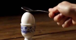 Οι δώδεκα τρόποι να μαγειρέψετε ένα αυγό