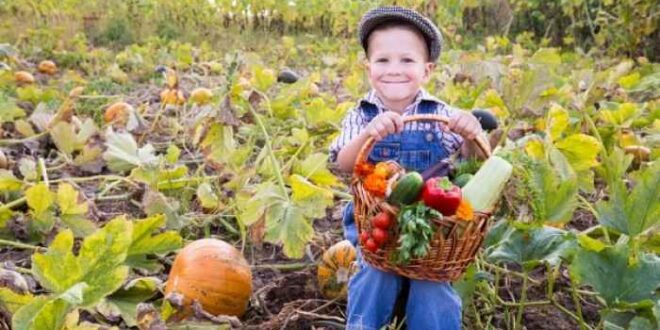 Πώς θα μάθετε το παιδί σας να τρώει λαχανικά