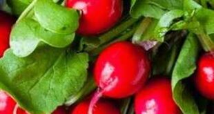 Χυμός από ραπανάκι για λεία επιδερμίδα