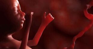 Γενετικό τεστ στο έμβρυο μπορεί να ανιχνεύσει καρκίνο στη μητέρα
