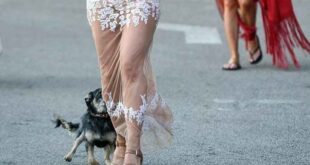 Δέχτηκε «επίθεση» από ένα μικροσκοπικό σκυλάκι