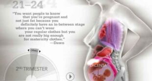 Εντυπωσιακό video: Δείτε πώς αλλάζει εσωτερικά το γυναικείο σώμα στην εγκυμοσύνη