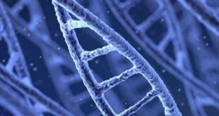 Επιστήμονες εντόπισαν το γονίδιο της νεότητας