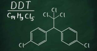Η έκθεση στο DDT συνδέεται με τον αυξημένο κίνδυνο καρκίνου του μαστού