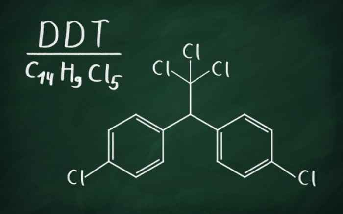 Η έκθεση στο DDT συνδέεται με τον αυξημένο κίνδυνο καρκίνου του μαστού