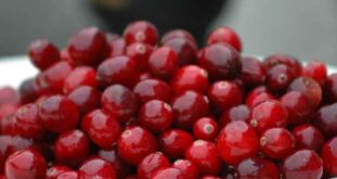 Μάσκα με cranberries για αντιγήρανση