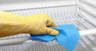 Πώς θα καθαρίσετε το ψυγείο από την επικίνδυνη μούχλα στα λάστιχα